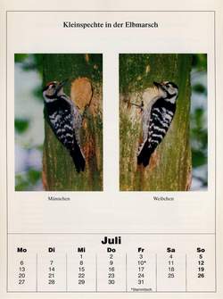 Heimatkalender Juli 1998, 2. Blatt
