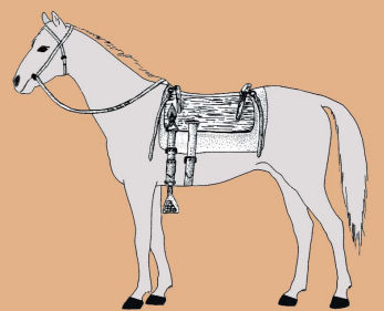 Pferd mit Sattel